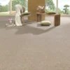 Teppichboden für Ihr Wohnzimmer